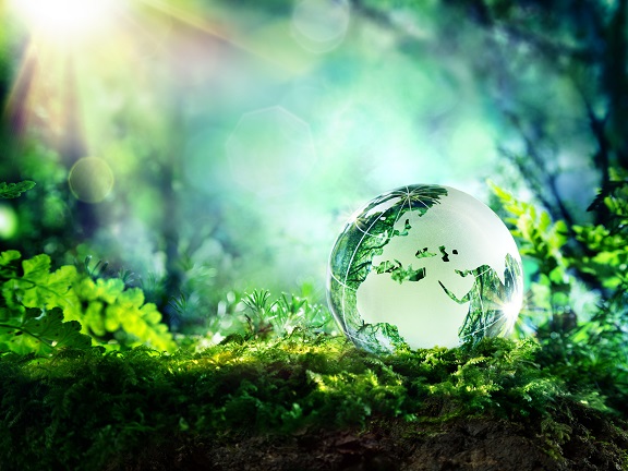 La “Eco Vision” di NGK SPARK PLUG punta alla decarbonizzazione entro il 2050